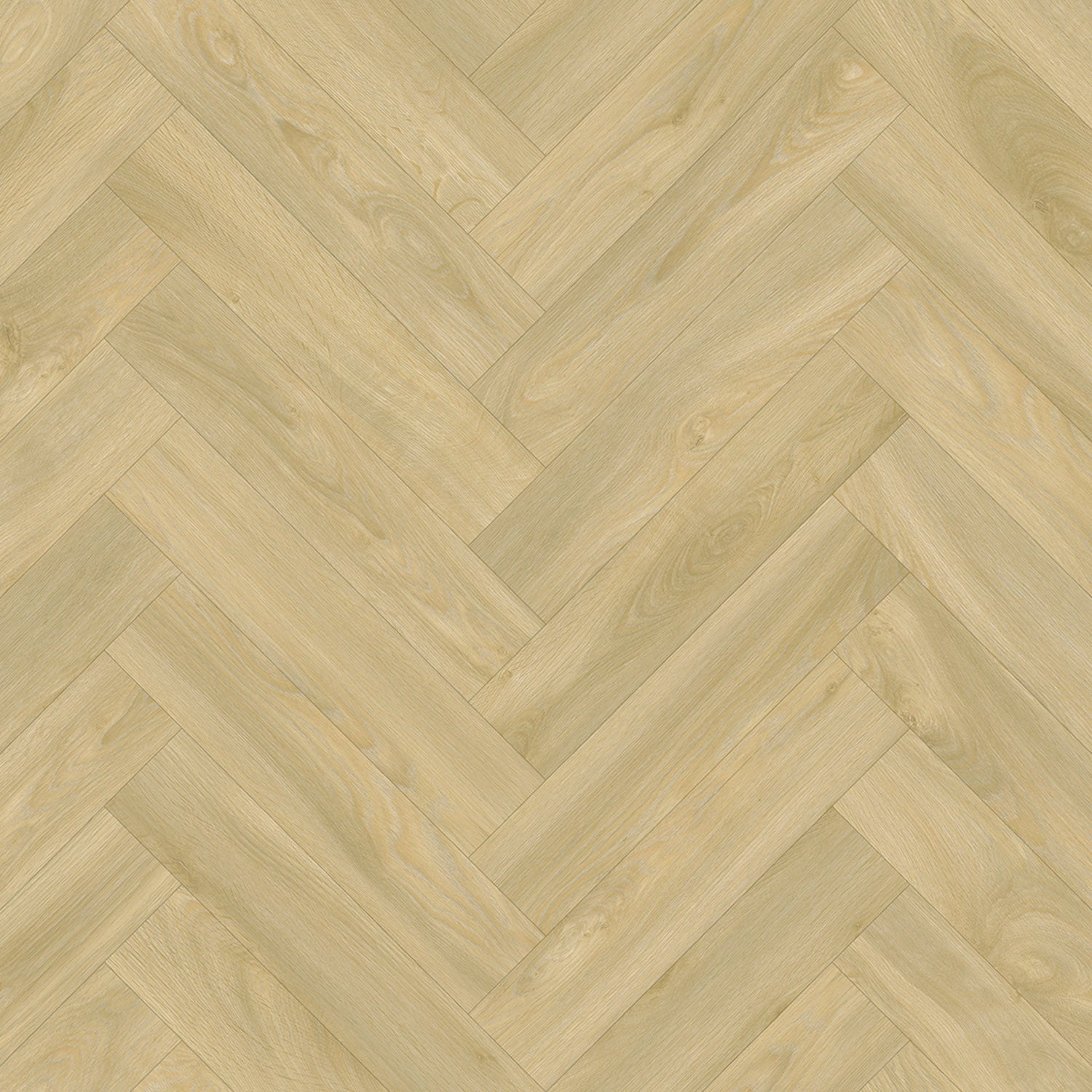 Rollo Euphoria 116M 60M2 DIB