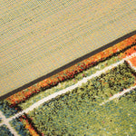 Alfombra Inusual 200X290 20783 Multi DIB