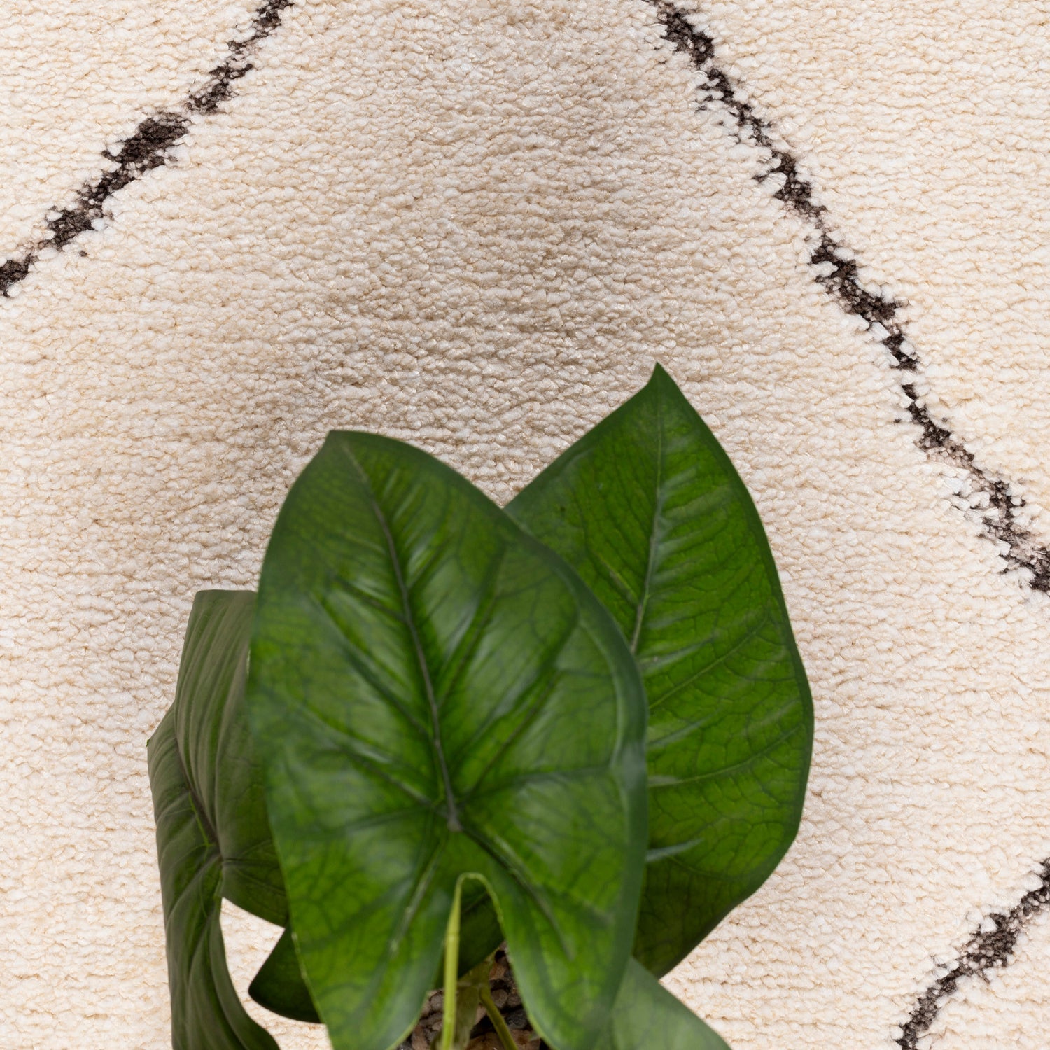 Alfombra Origen 200X290 Gj54A DIB