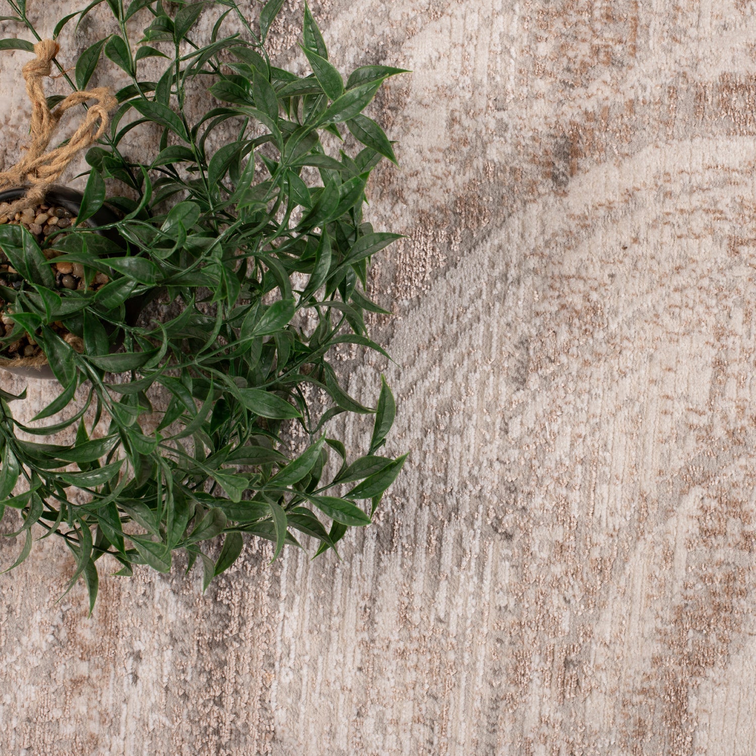 Alfombra Obsesion 200X290 Gy88A DIB