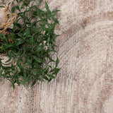 Alfombra Obsesion 200X290 Gy88A DIB