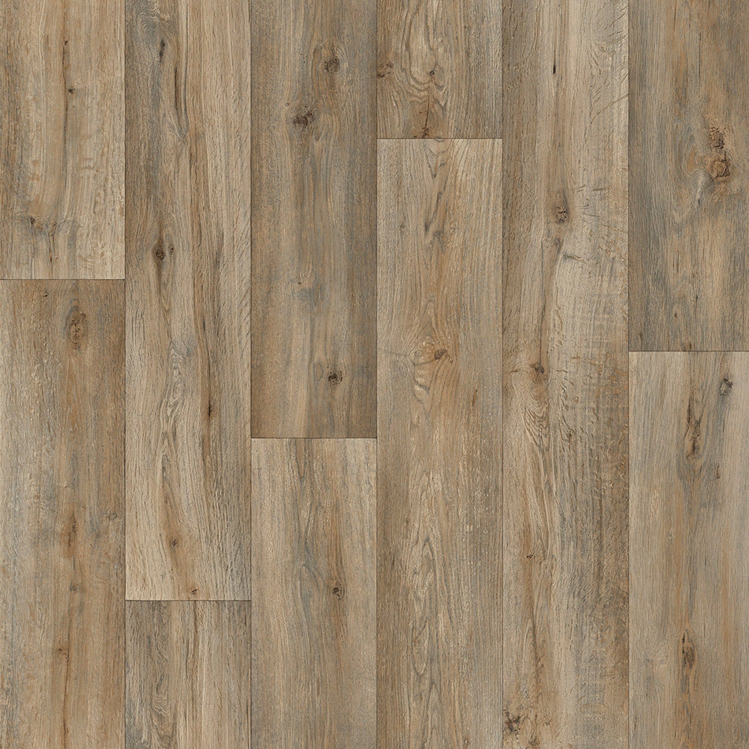 Rollo Harmony 973M 2X5 Mts DIB