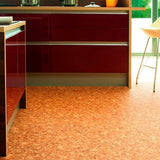 Rollo Modus 620M 60 M2 DIB