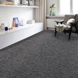 Rollo Alfombra Star 2x30M Gris Titanio DIB