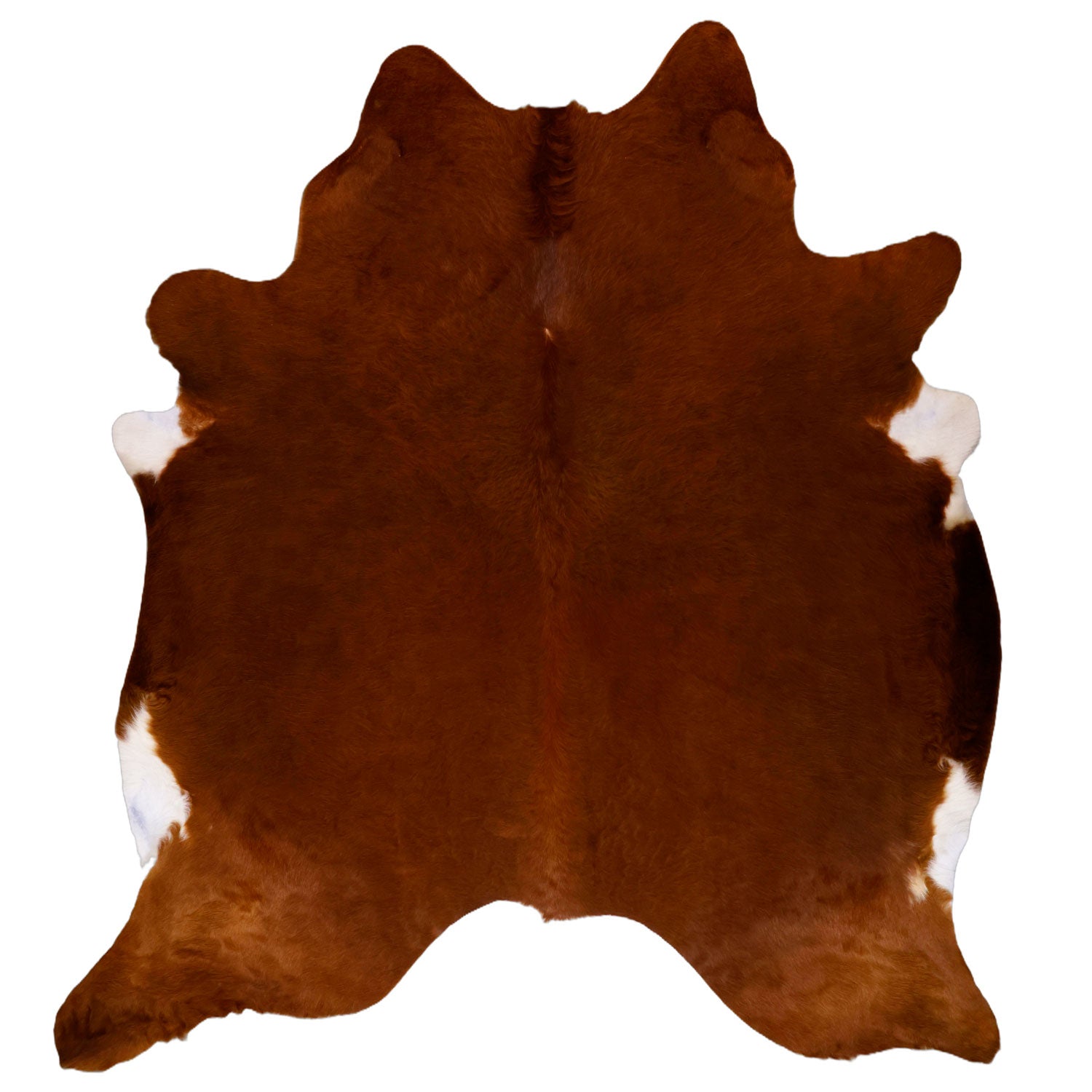 Alfombra Cuero Vaca forma Large 175X240 App. 479978