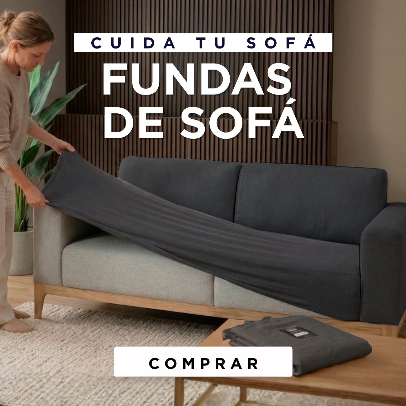 Imagen de diapositiva