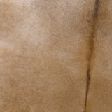 Alfombra Cuero Vaca forma  Large 175X240 App. 479785