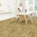 Rollo Euphoria 619M 2X5 Mts