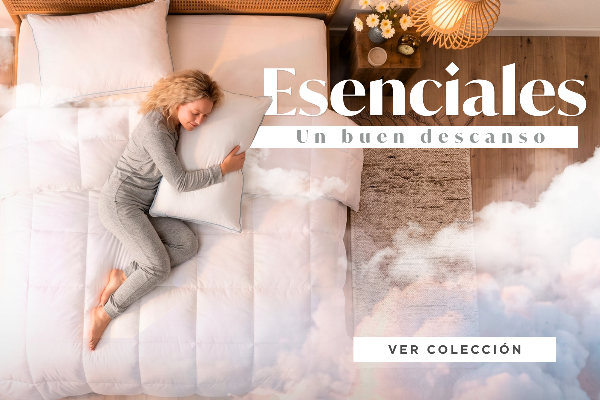 Imagen de diapositiva