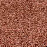 Alfombra Kiss 240X340 71421012