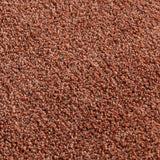 Alfombra Kiss 240X340 71421012