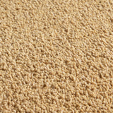 Alfombra Kiss 240X340 71421800