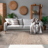 Alfombra Olsen 200X290  72122