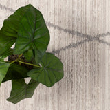 Alfombra Noruega 080X120 B243A Crema