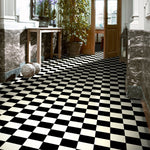 Rollo Esteem 019D 10M2 DIB