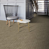 Alfombra Citizen 50X50 Cm Beige