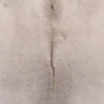 Imagen de diapositiva
