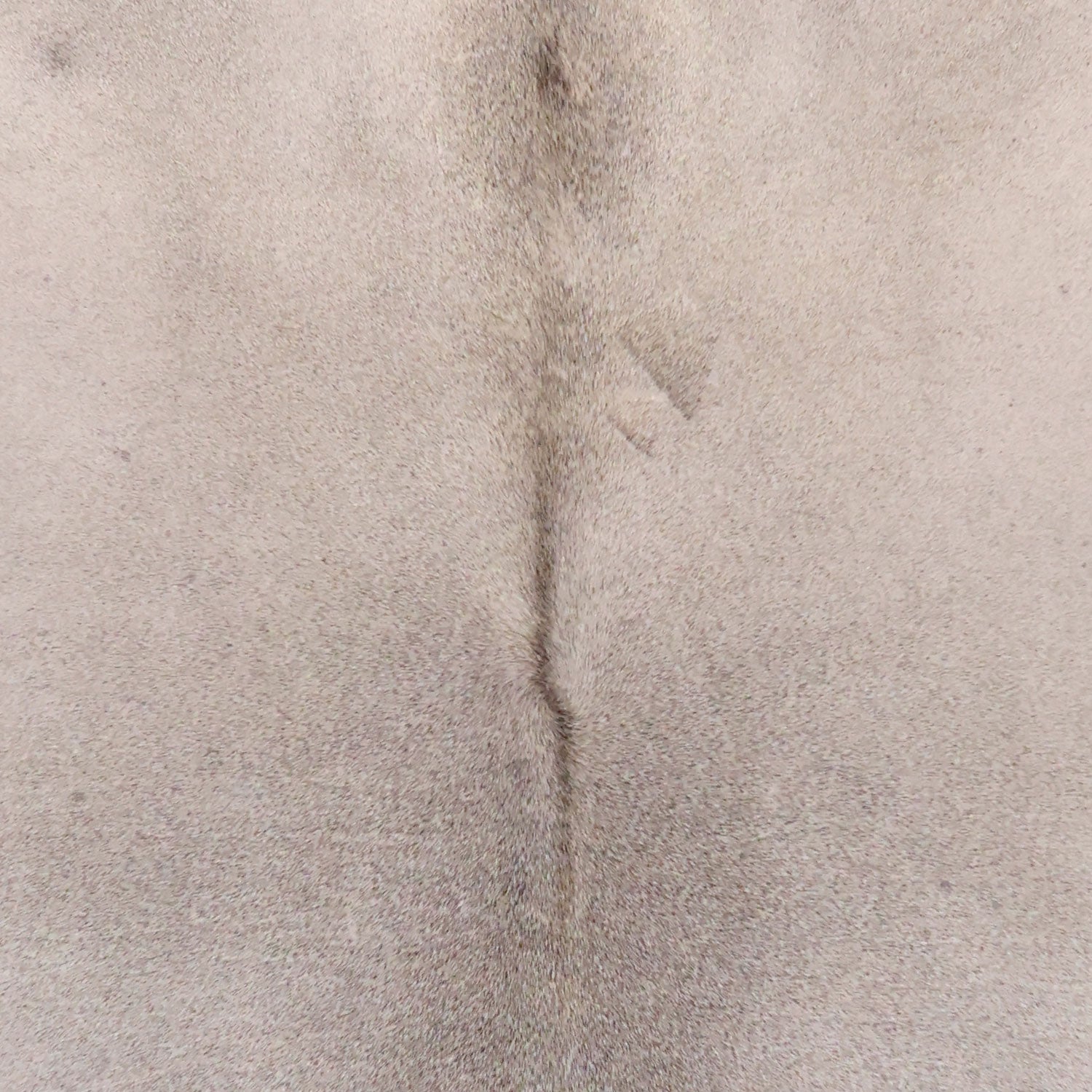 Imagen de diapositiva
