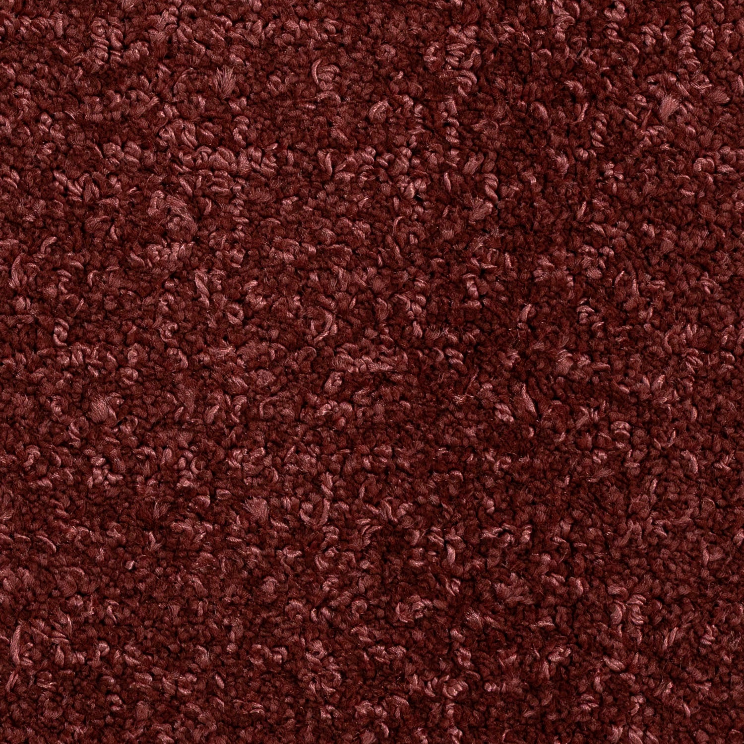 Alfombra Fiji 160X230 71501010