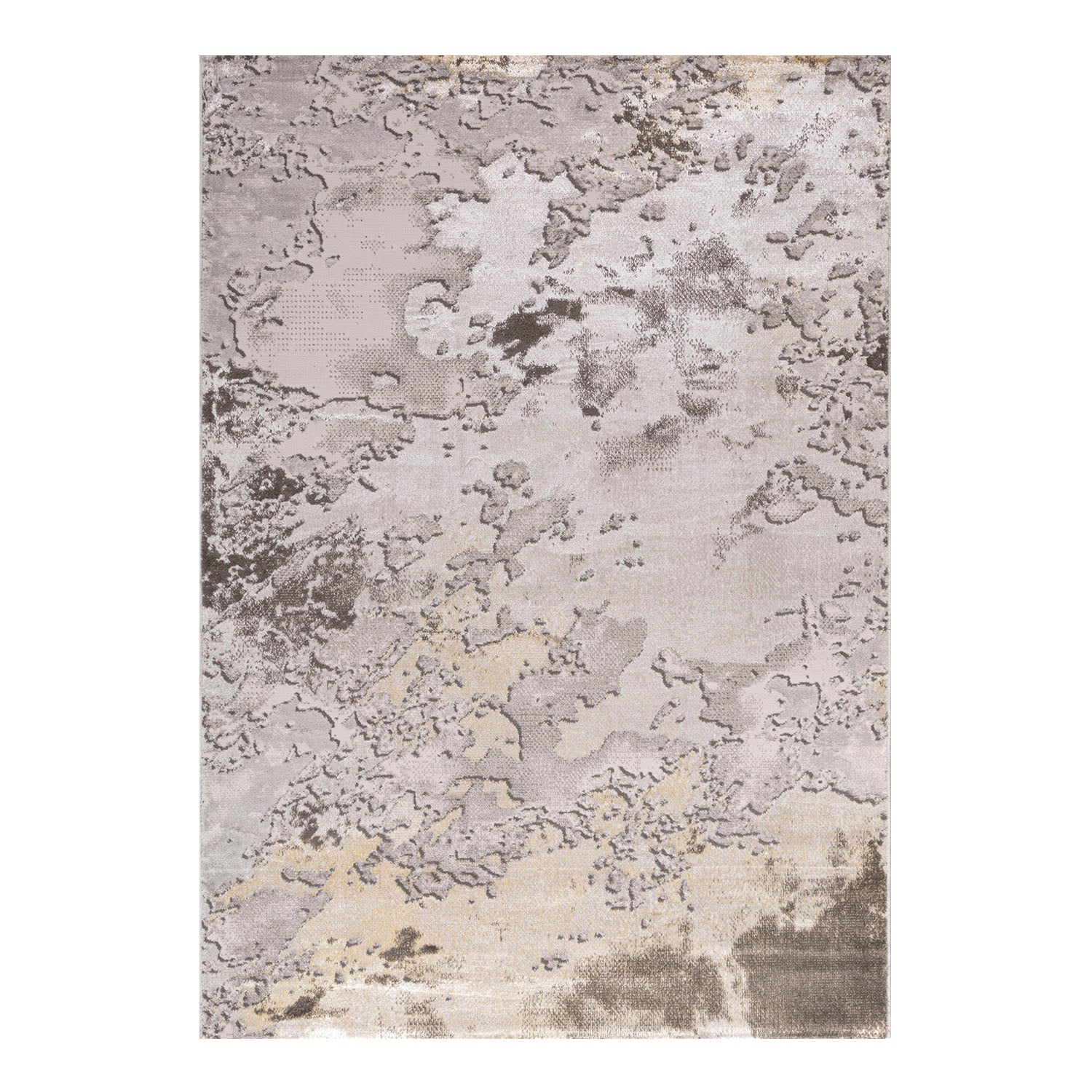 Alfombra Millet 200X290 Ea049