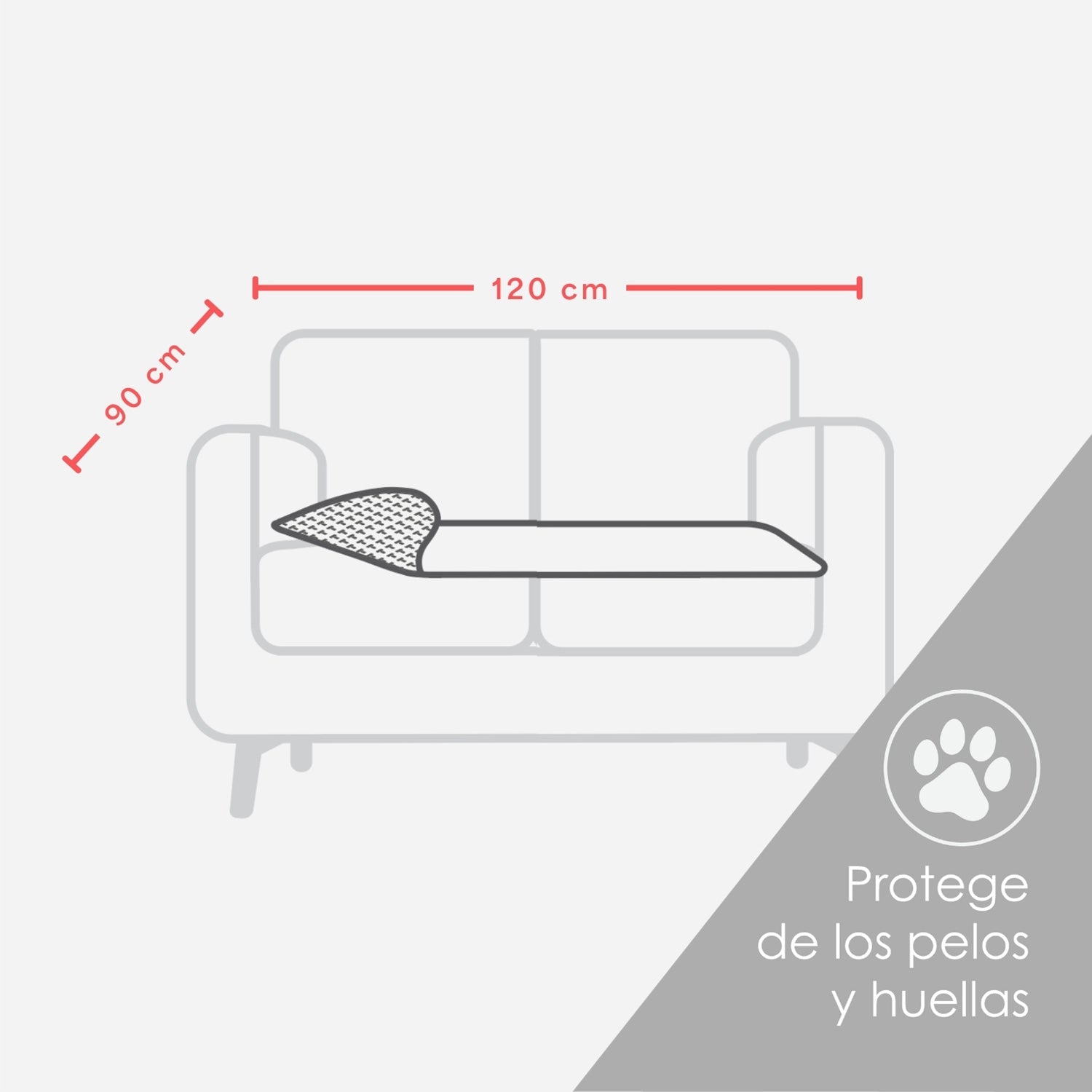 Imagen de diapositiva