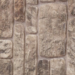 Imagen de diapositiva