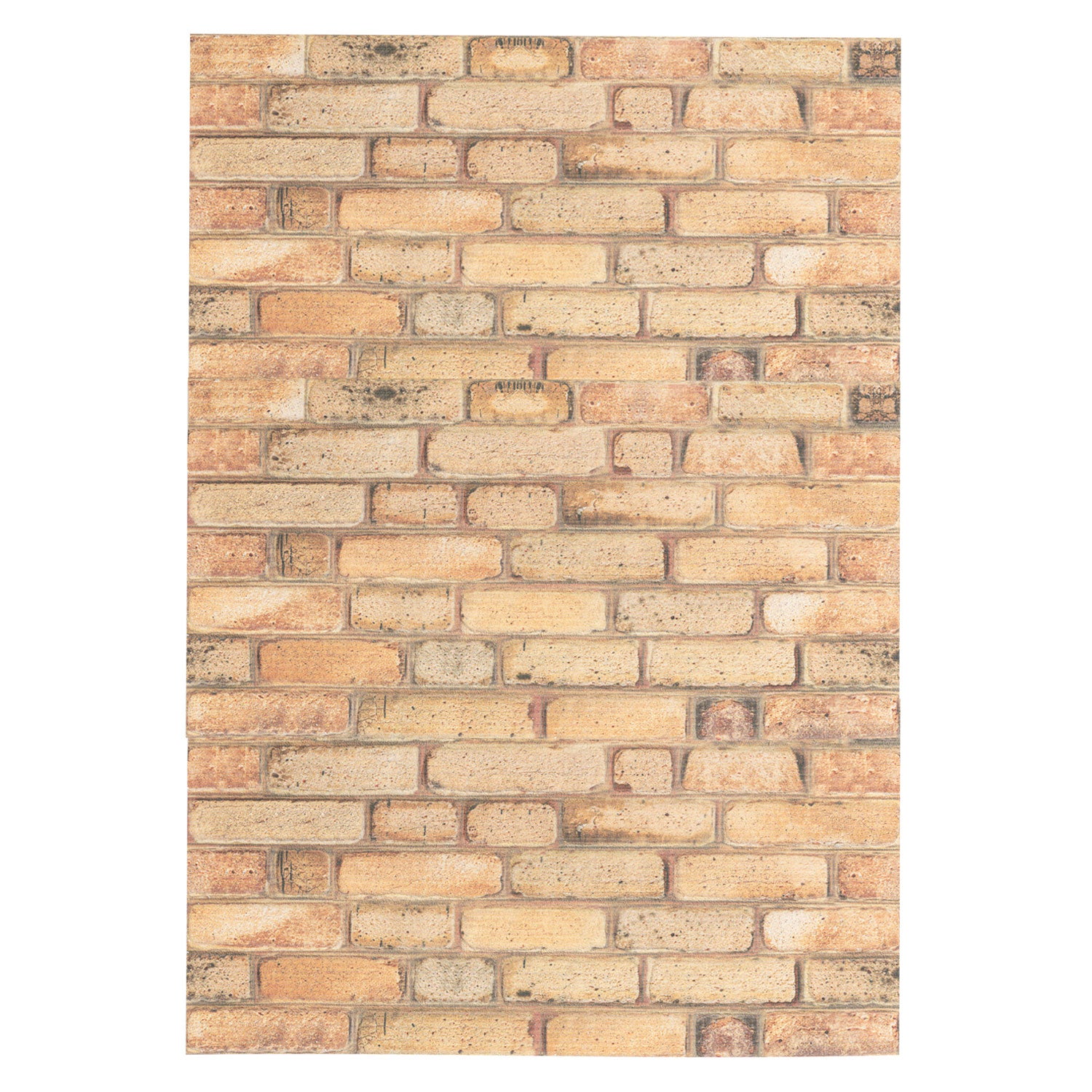 Imagen de diapositiva